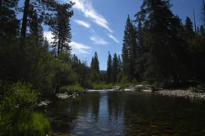 DSC_4294 (Large).JPG